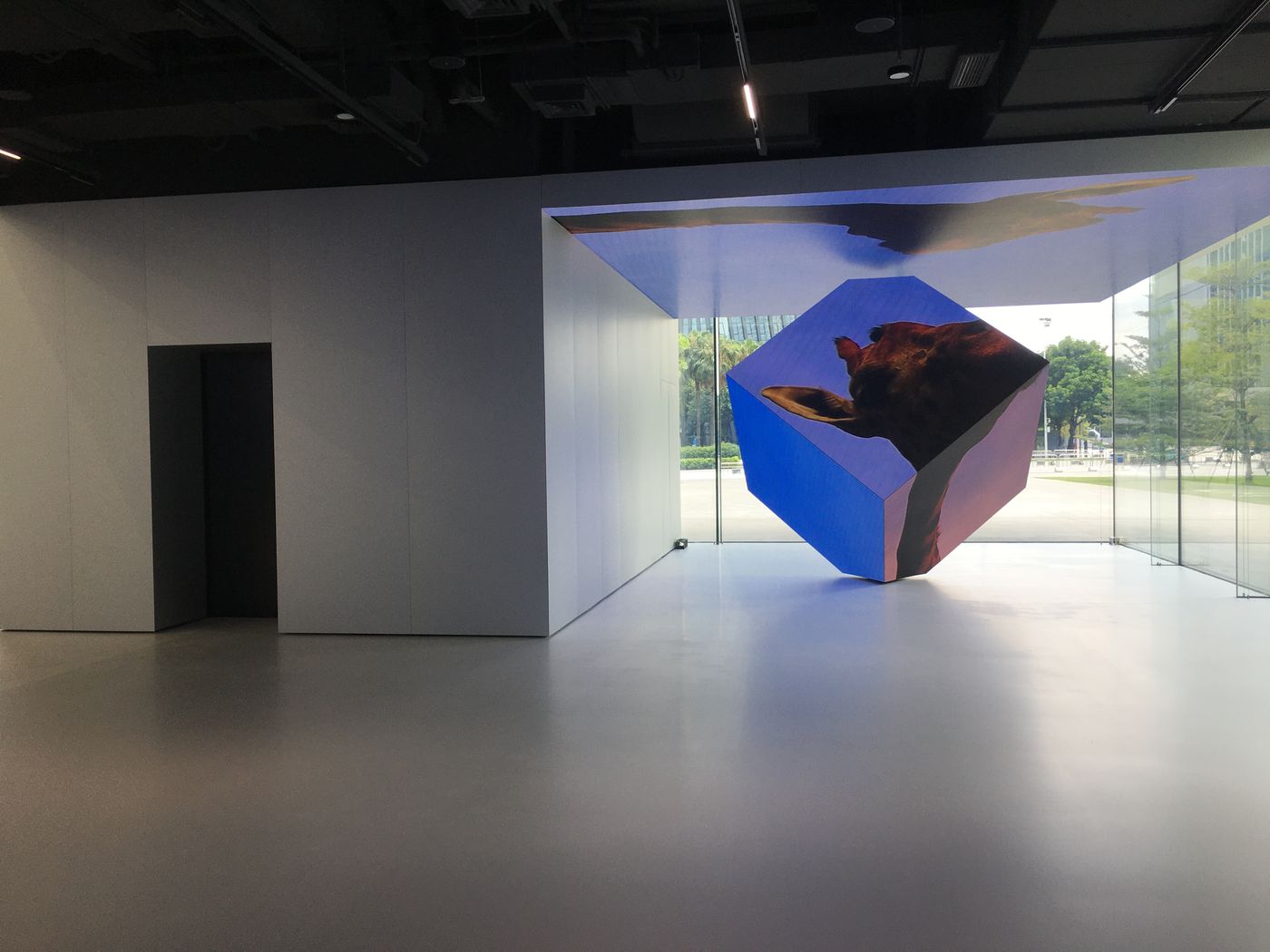 Foshan Showroom LED Display